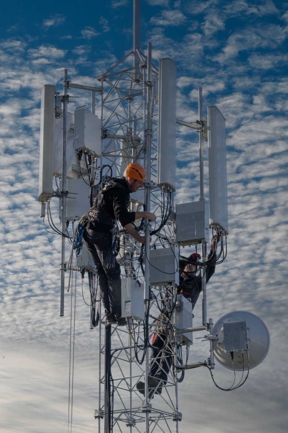 Telecoms companies